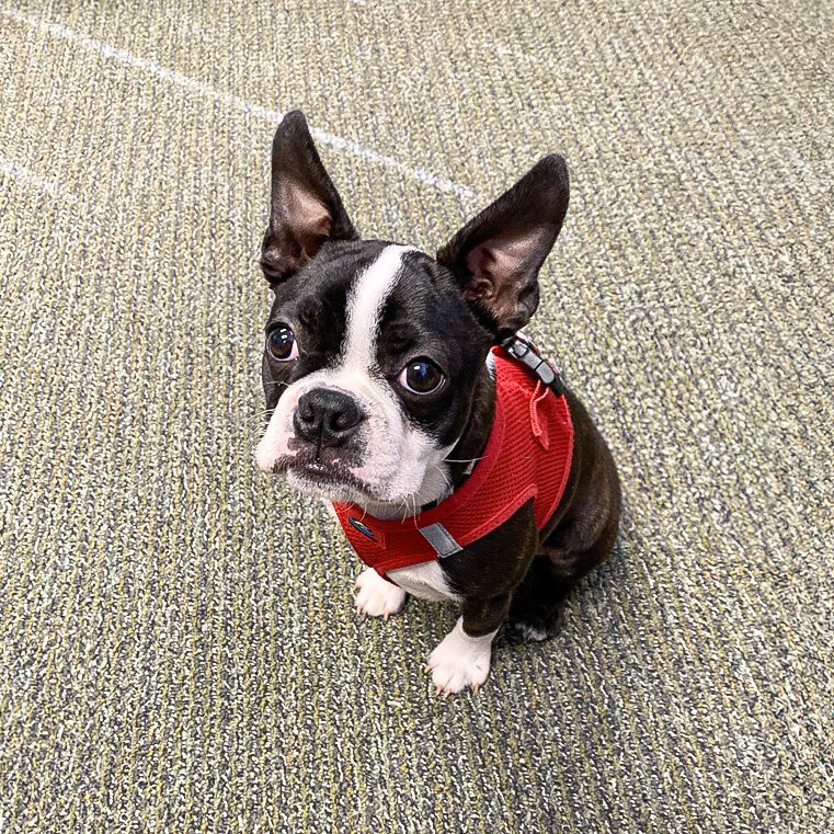 Max